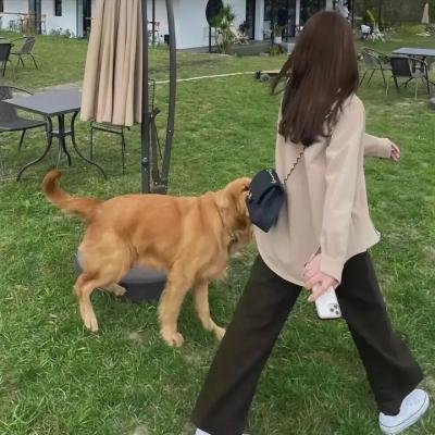 战地奇女子